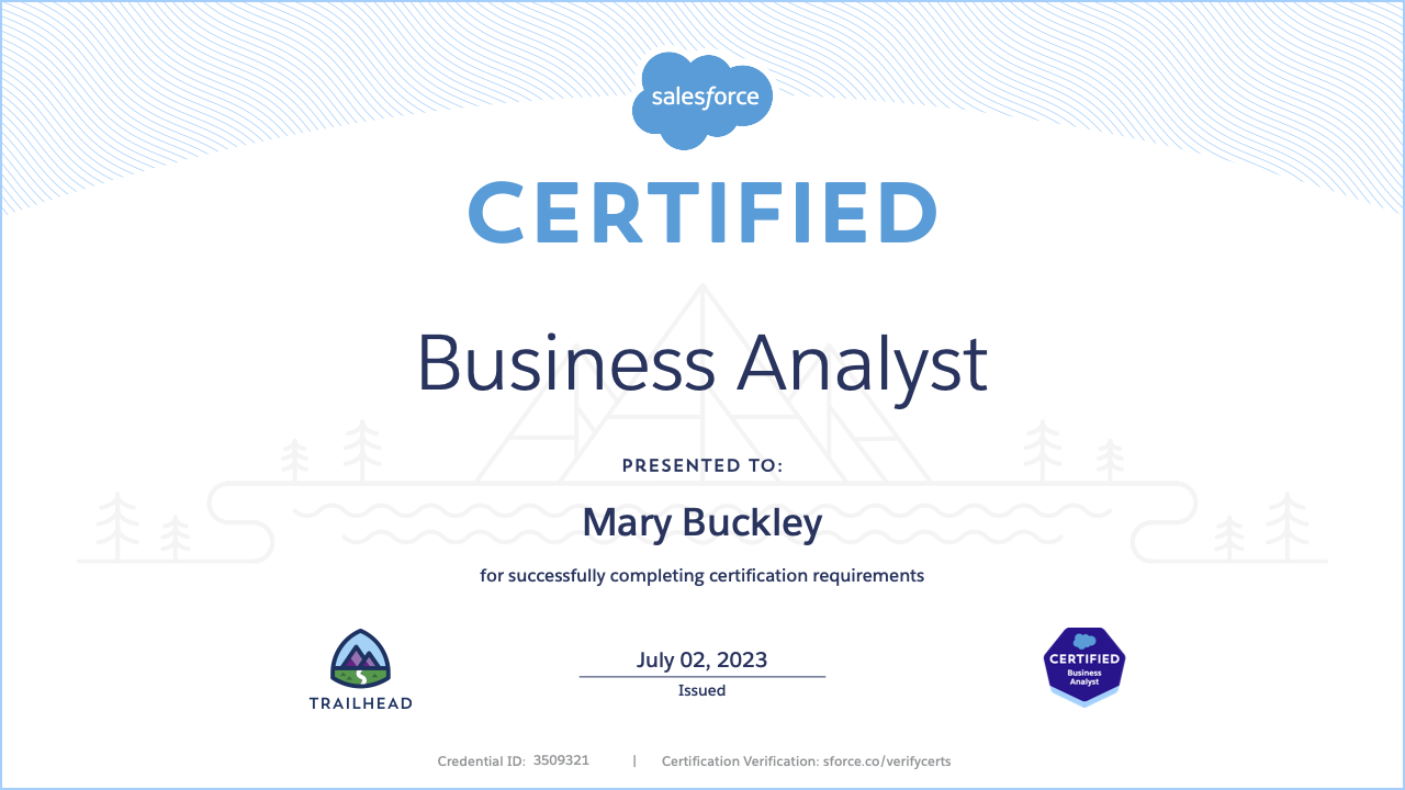 Salesforce Business Analyst Certificate